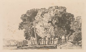 Liber Studiorum: Plaat 3, Bomen nabij Twickenham, 1838 door John Sell Cotman