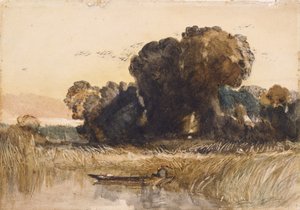 Punt tussen riet