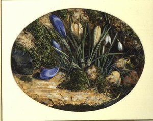Krokussen en Sneeuwklokjes door John Sherrin