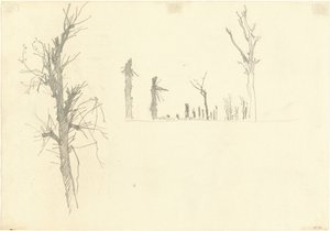Verwoeste bomen