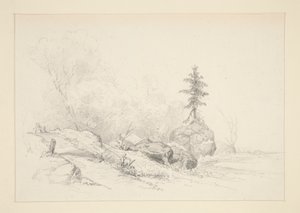 Landschap