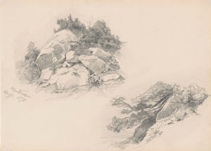 Rotsen en struiken, Hintersee, Duitsland, 1871 door John Singer Sargent