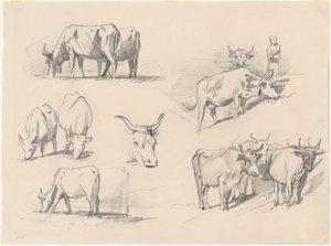 Studies van vee, ca. 1872 door John Singer Sargent