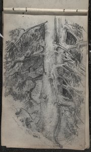 Studie van een boom, 1871-72 door John Singer Sargent