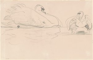 Zwanen in het Water door John Singer Sargent