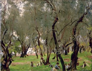 De olijfboomgaard, c.1910