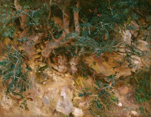 Valdemosa, Majorca: Distels en kruiden op een heuvel, 1908 door John Singer Sargent
