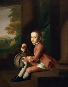 Daniel Crommelin Verplanck, 1771 door John Singleton Copley