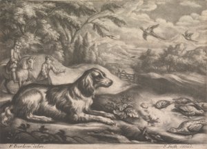 Jachthond en Fazanten