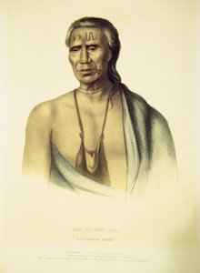 Portret van Lap-pa-win-soe, 1837 (handgekleurde litho) door John T. Bowen