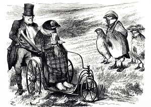 Een cartoon die commentaar geeft op de opschorting van het jagen op korhoenders om de voorraad te laten herstellen. Geïllustreerd door John Tenniel (1820-1914) een Engelse illustrator, grafische humorist en politieke cartoonist