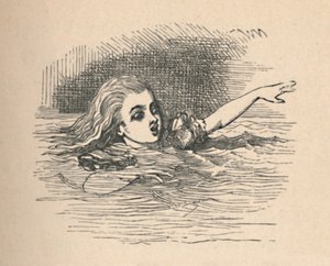 Alice in een zee van tranen, 1889