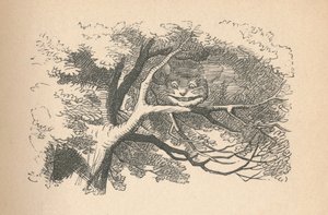 De Cheshire Cat begint te verdwijnen, zijn glimlach is het laatste dat verdwijnt, 1889 door John Tenniel