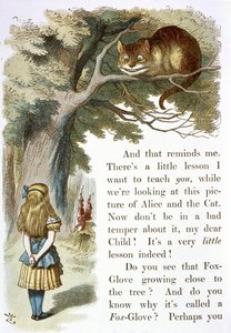 De Cheshire kat door John Tenniel