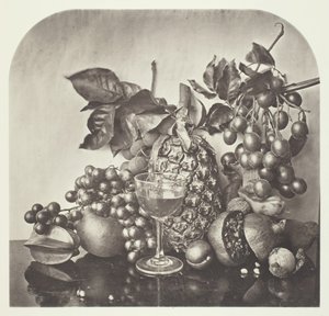 Fruit, ca. 1868 door John Thomson