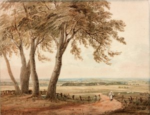 Uitzicht vanaf Polsden bij Bookham in Surrey