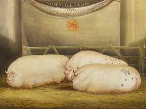 Drie verbeterde Leicesters in een hok op de Smithfield Club Kerstshow, 1858 door John Vine