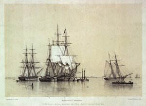 Maritieme Studies, koopvaardijschepen