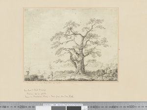 Uitzicht op de kust, grote boom in het midden door John Webber