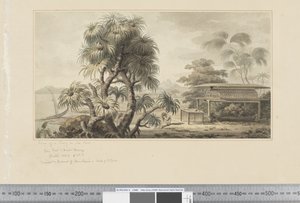 Uitzicht op een graf aan de kust door John Webber
