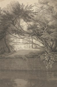 Bomen overhangend een meer door John White Abbott