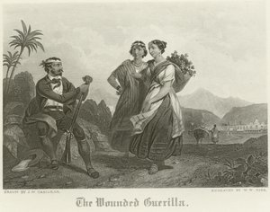 De gewonde guerrilla