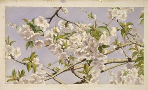 Appelbloesems, c.1874