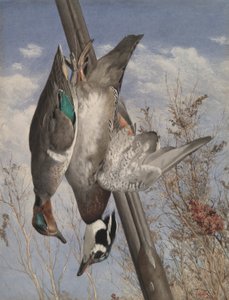 Hangende Wildvogels door John William Hill