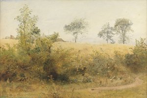 De vleermuis begint met duizelige vleugel - Gerstveld over de heg, 1885 door John William North