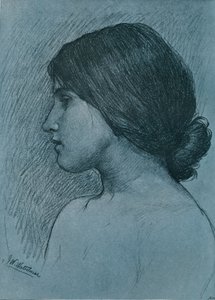 Studie van een Hoofd, c1899