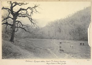Razavi Khorasan Provincie, Iran, ca. 1908 (zw/w foto)