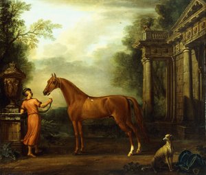 De kastanjebruine Arabier van Hampton Court, ca. 1726 door John Wootton