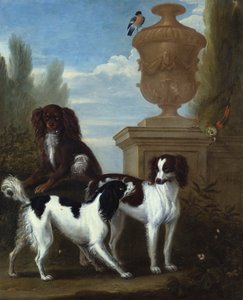 Drie spaniels bij een urn in een bosrijk landschap
