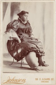 Portret van een vrouw,c. 1890 (foto) door Johnson