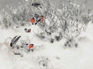Roodborsttangaren in de sneeuw