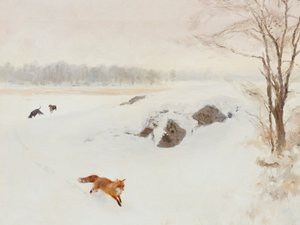 Red Fox Winterjacht