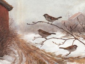 Wintermussen
