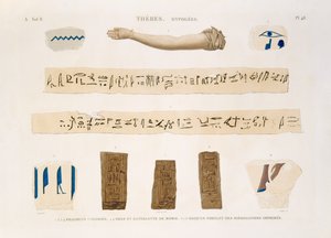 Illustraties van hiërogliefen en de arm van een mummie uit Hypogees, Thebe, plaat 48 uit Vol II van 