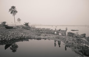 Wetlandvissen in Kolkata, 2016 (foto)