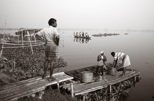 Wetlandvissen in Kolkata, 2016 (foto)