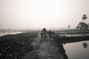 Wetlandvissen in Kolkata, 2016 (foto)