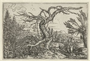 Landschap met de dorre boom door Jonas Umbach