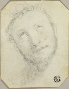 Hoofd van man met baard die omhoog kijkt
