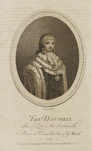 De dolfijn door Jones