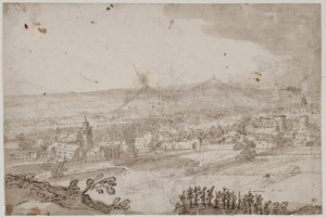 Panoramisch landschap