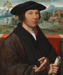 Portret van een man, 1528-29