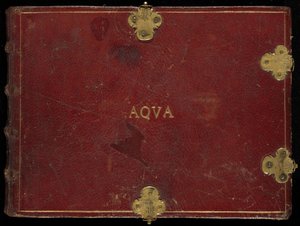 Animalia Aqvatilia et Cochiliata (Aqva), volume III door Joris Hoefnagel