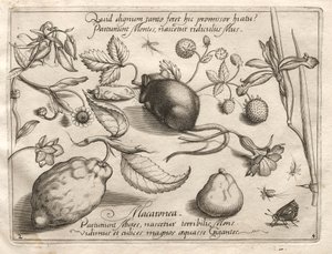 Archetypen en Studies: Wat kan ontstaan in overeenstemming met zo