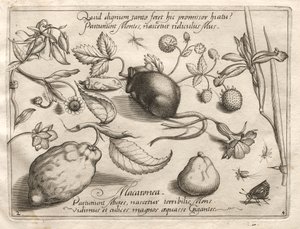Archetypen en studies: Wat kan ontstaan in overeenstemming met zo