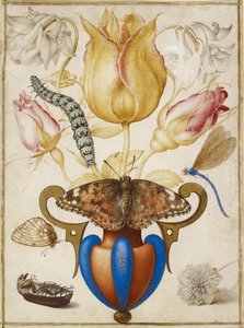 Schikking van bloemen in een vaas, met insecten, 1594 door Joris Hoefnagel